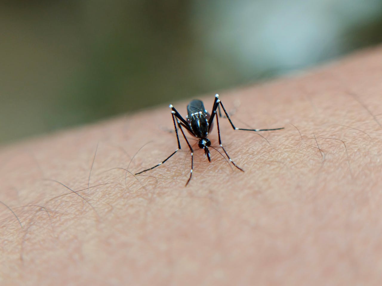 Impact of extreme weather on dengue fever infection in four Asian countries: A modelling analysis