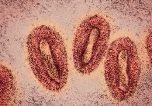 Estimation of local transmissibility in the early phase of monkeypox epidemic in 2022