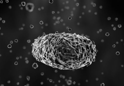 Viral Infection Monkeypox Virus - 3d rendered image. Abstract biomedical illustration. 
Antibody, Antigen, Vaccine technology concept.